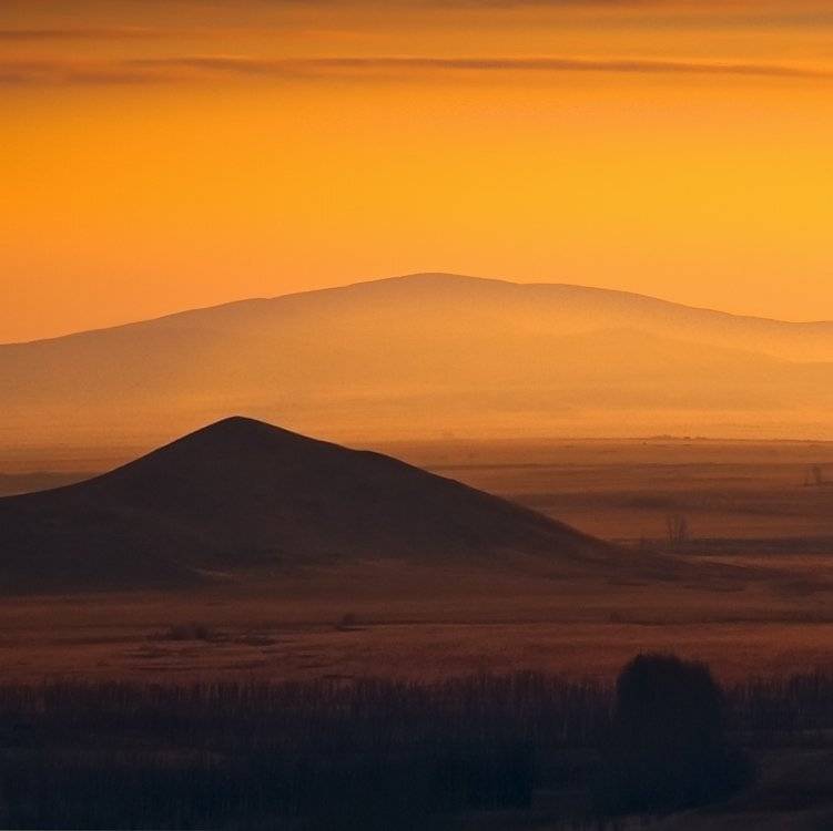 , Андрей Журавлев