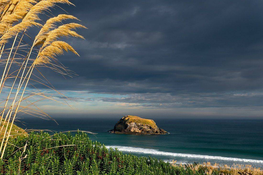 new, zealand, Надежда Звягина / New Zealand