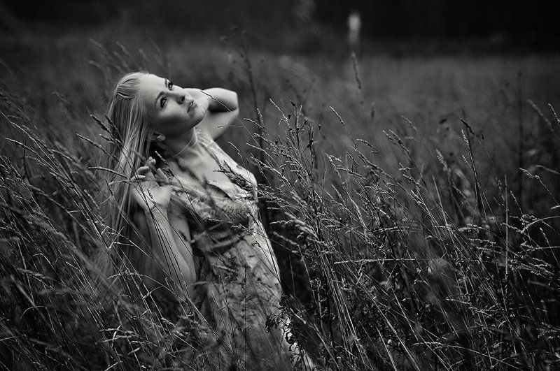 **** фото превью