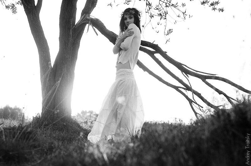 Весенний ветер фото превью