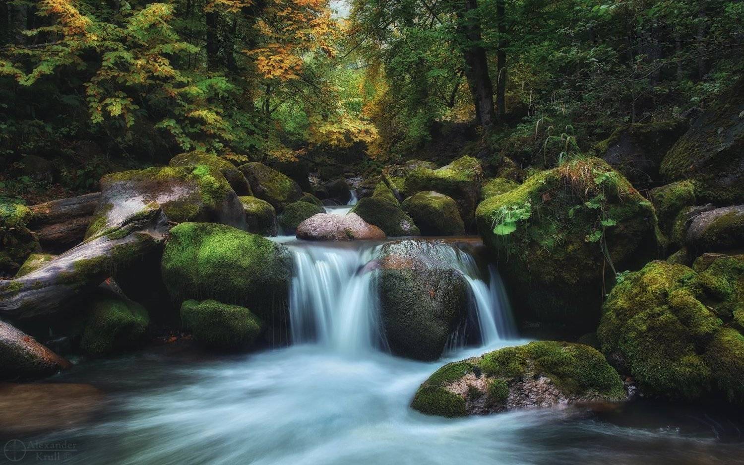 , Александр Круль