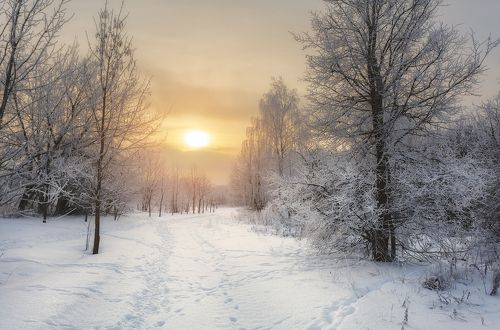 зимнее солнце