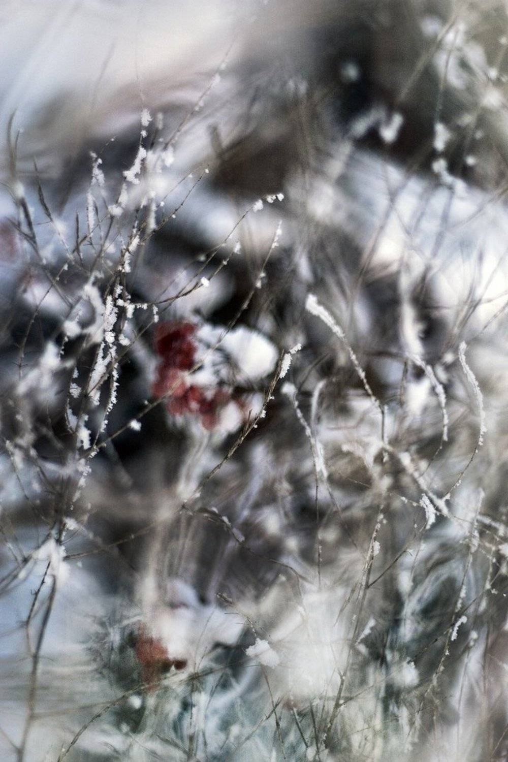 , Альбина Хакимова