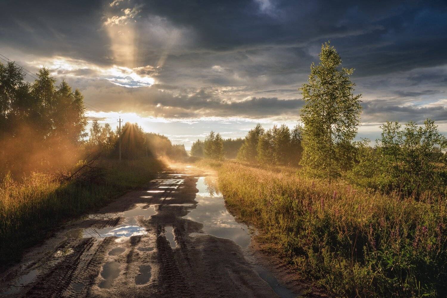 лето,дождь,туман,солнце,небо,тучи,дорога.лужи, Виталий Полуэктов