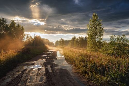 после летнего дождя
