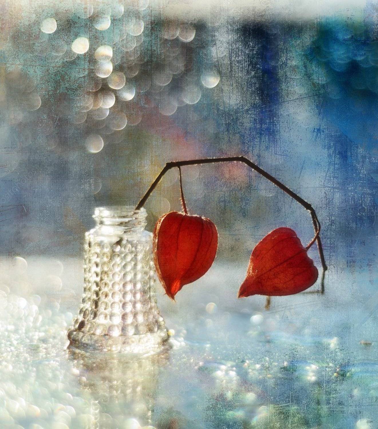 натюрморт,физалис,боке, Наталия К