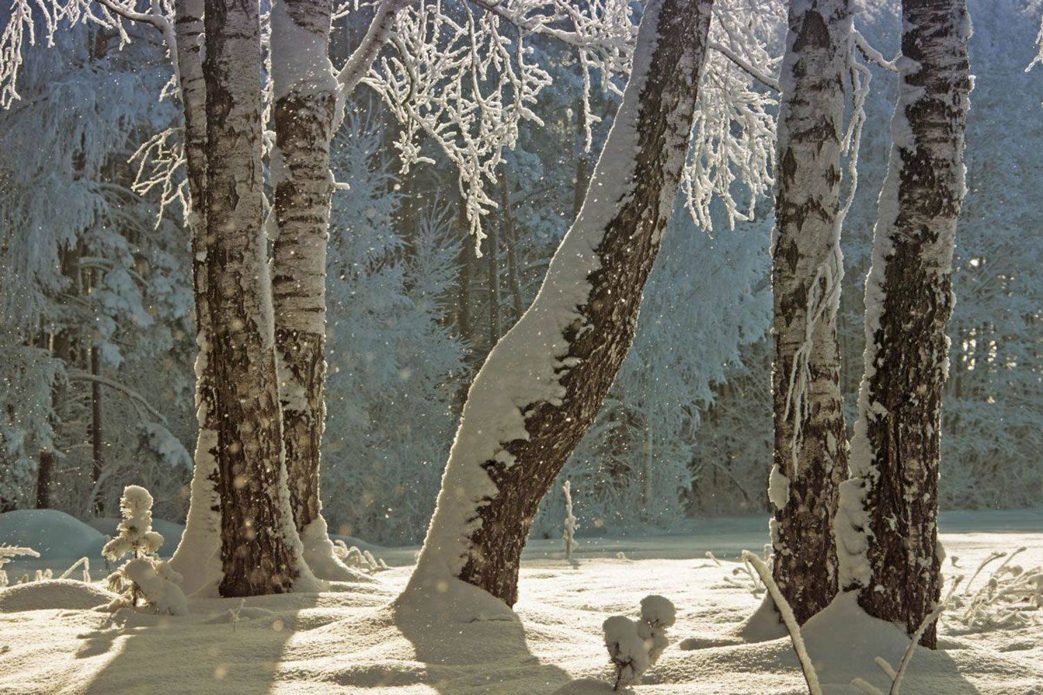 , Валерий Кондратов