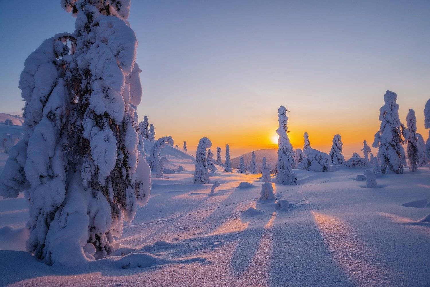 север, кольский, заполярье, кандалакша,гора волостная, Роман Горячий