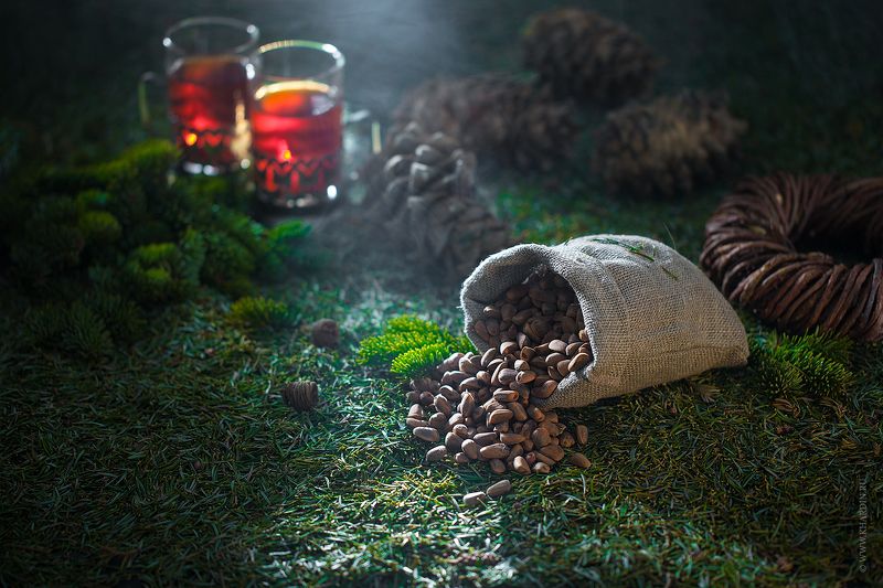 stilllife wood PINE NUTS фото превью