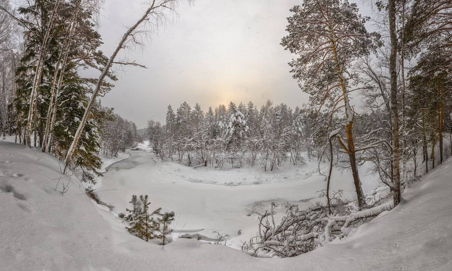 , Николай Андреев