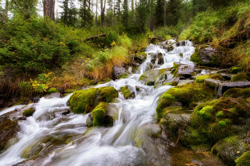 пейзаж, путешествие, горы, алтай, Алтайский ручей фото превью