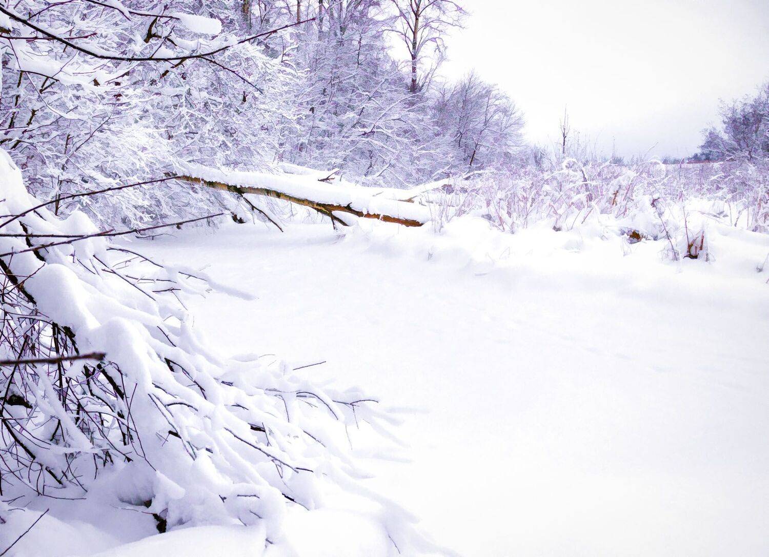 , Алексей Герасимов
