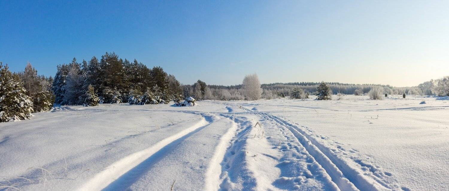 усмань, сосны, снег, рождество, мороз, лыжня, лес, иней, зима, заповедник, Руслан Востриков