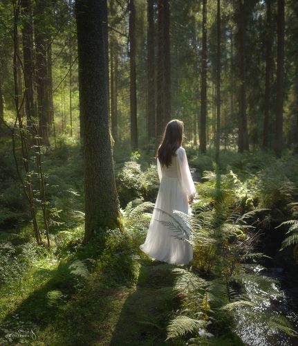 На Чудесном ручье