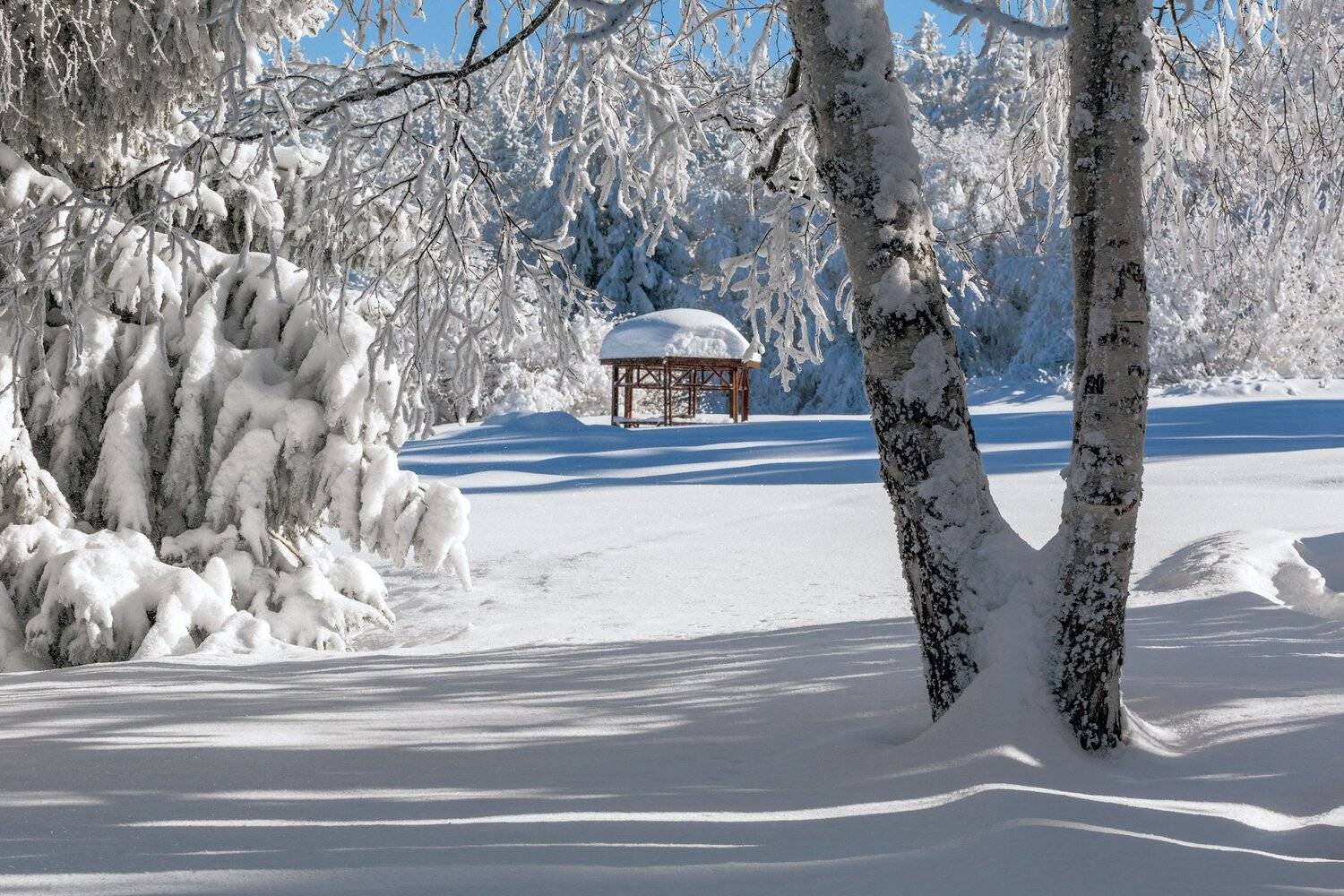 , Александър Сандев