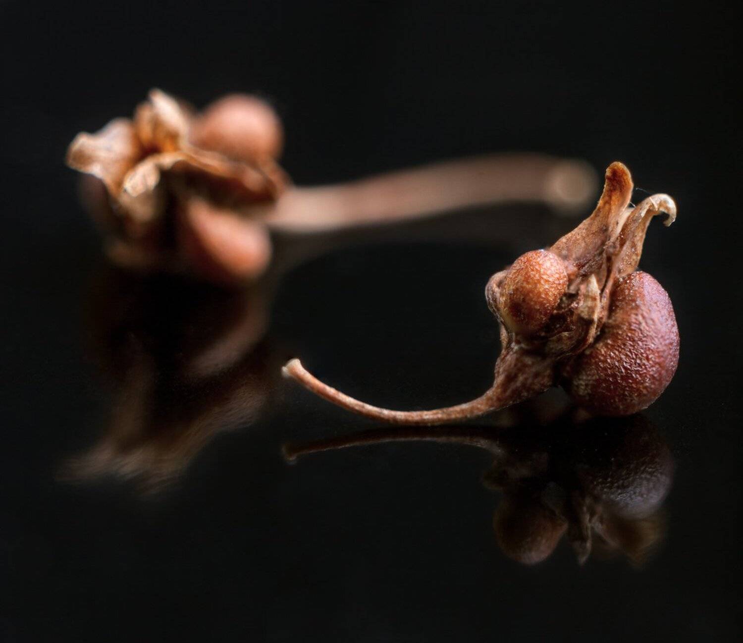 , Николай Андреев