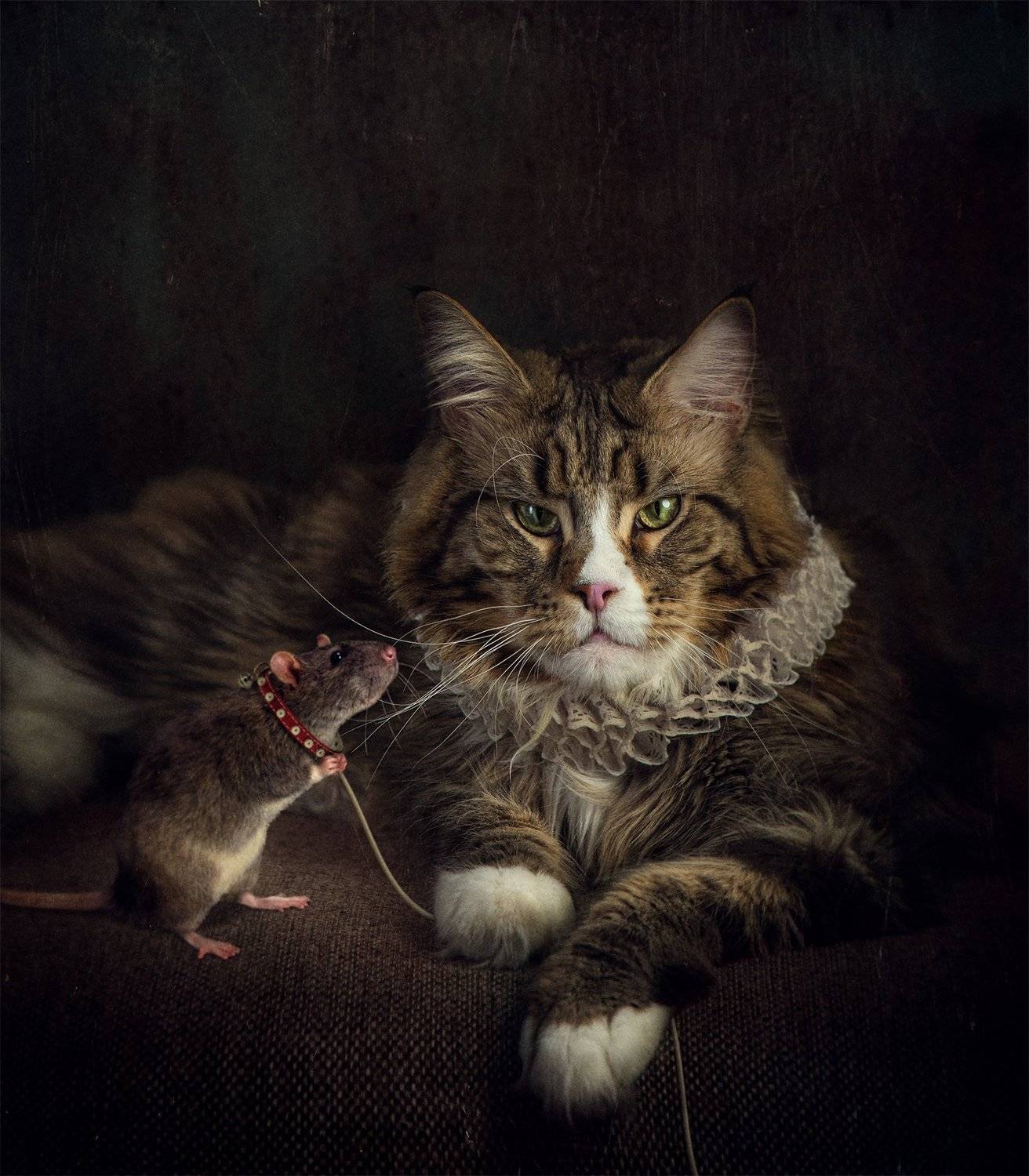 , Светлана Мелик-Нубарова