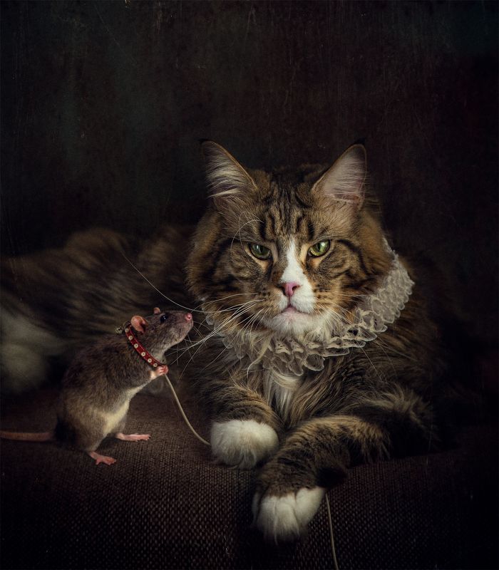 Pet\'s Pet фото превью