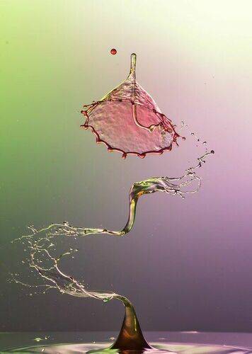 S drop