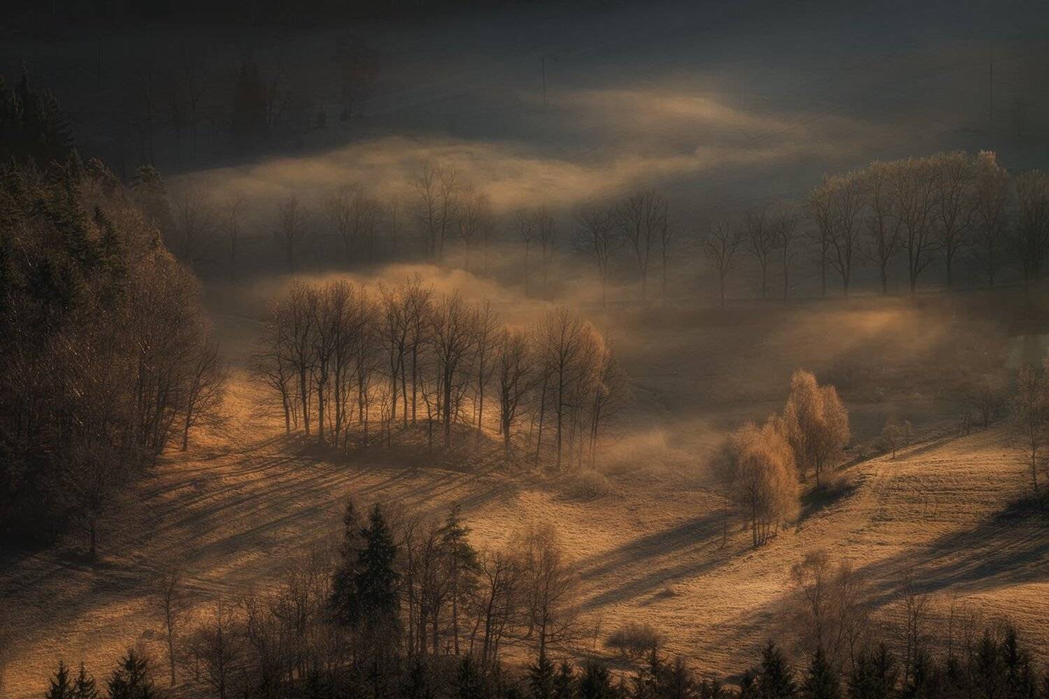 landscape,canon,sunrise,winter, Iza i Darek Mitręga