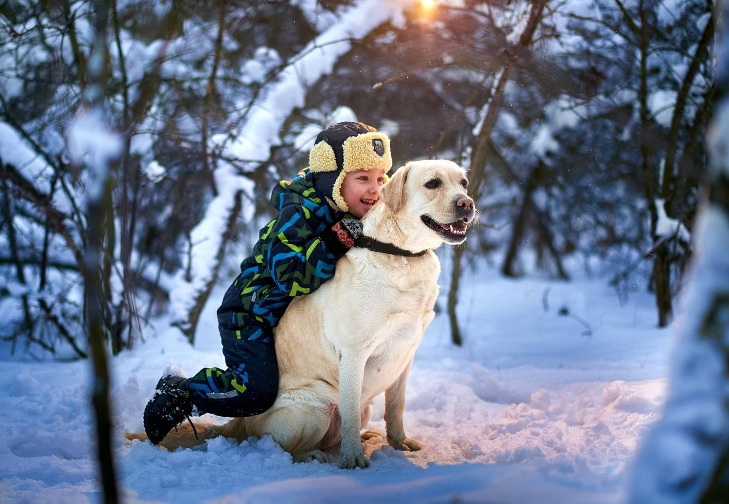 , Алферов Александр