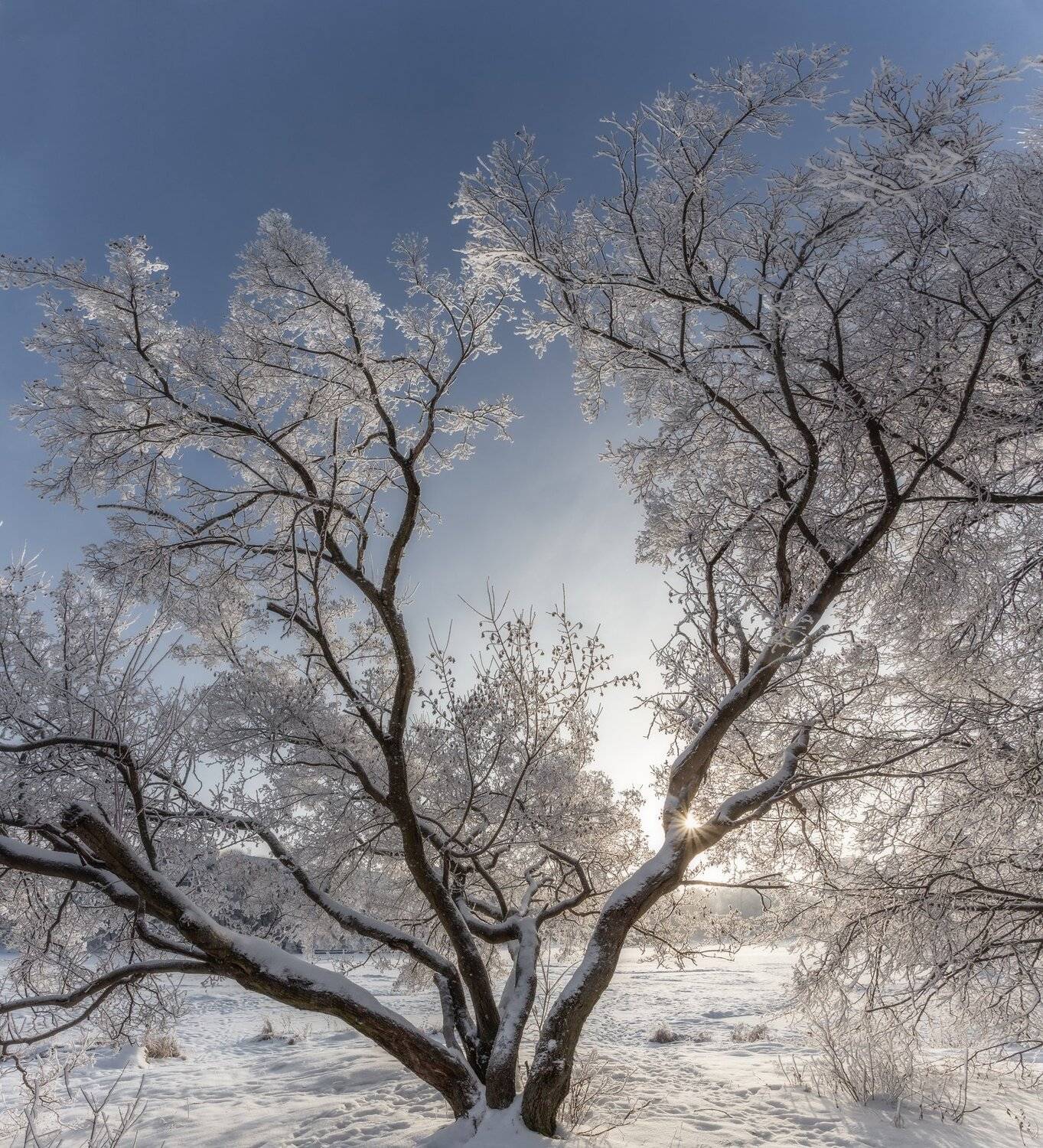 пейзаж, природа, зима, настроение, зима, мороз, Мартыненко Дмитрий