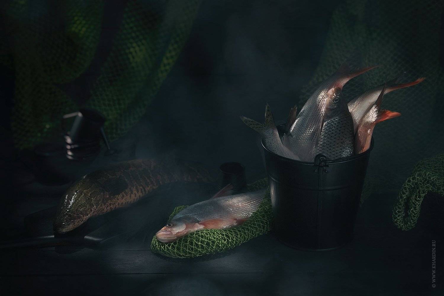 stillife, fish, noir, Alexander Khardin