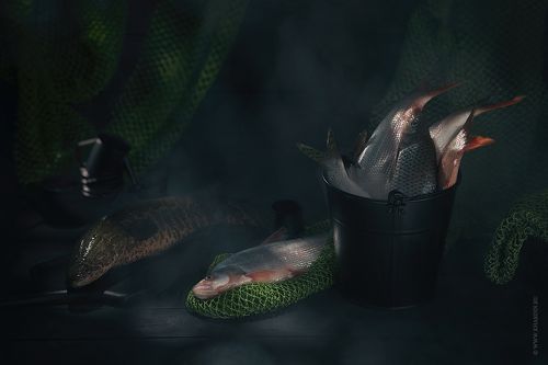 FISH