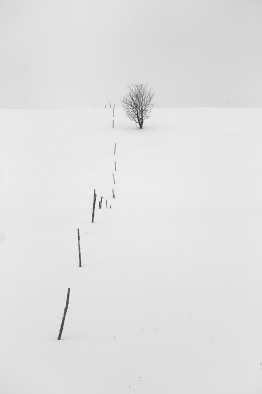 Winter minimalism фото превью