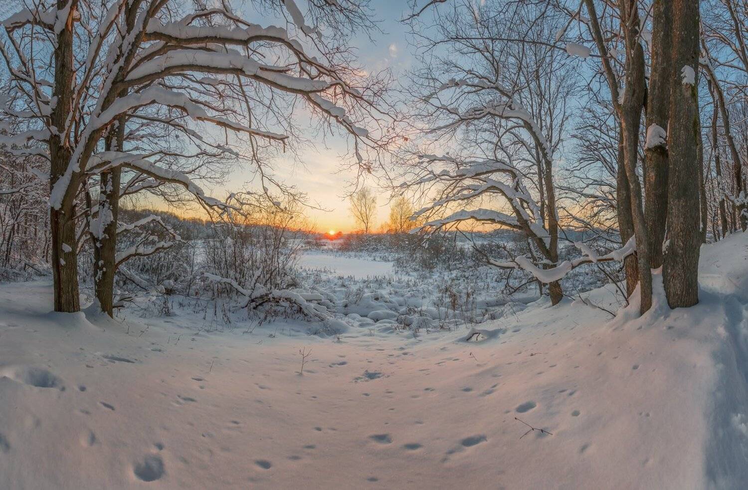 , Николай Андреев