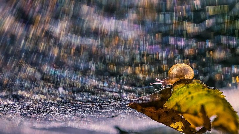 Северное сияние в Рождественскую ночь фото превью