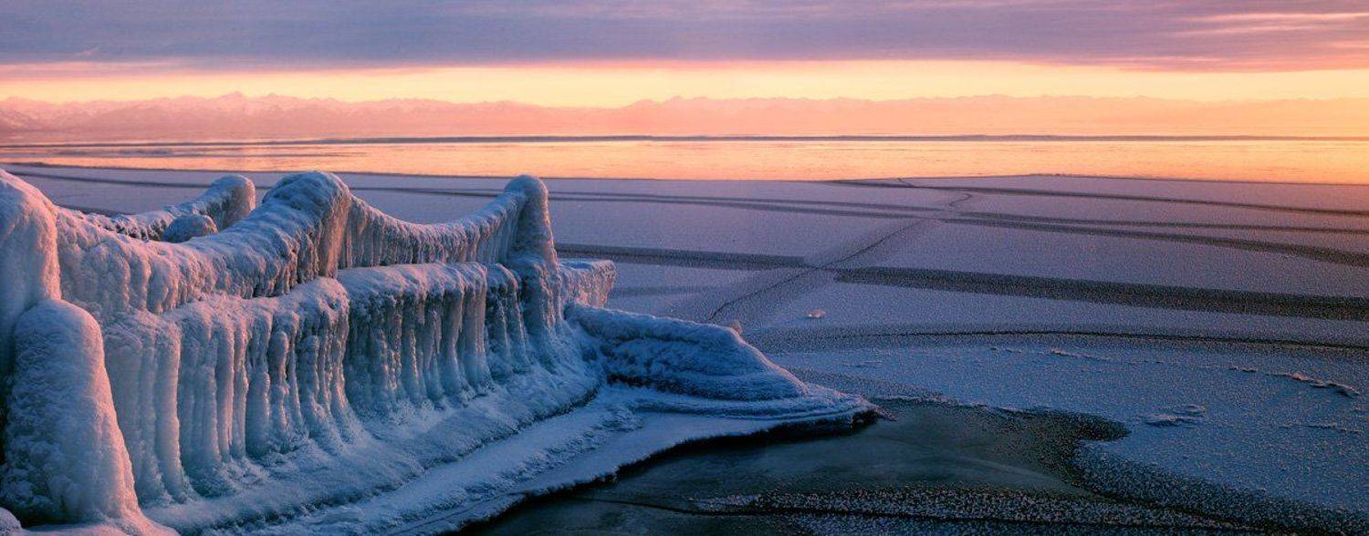 , Сергей Низовцев