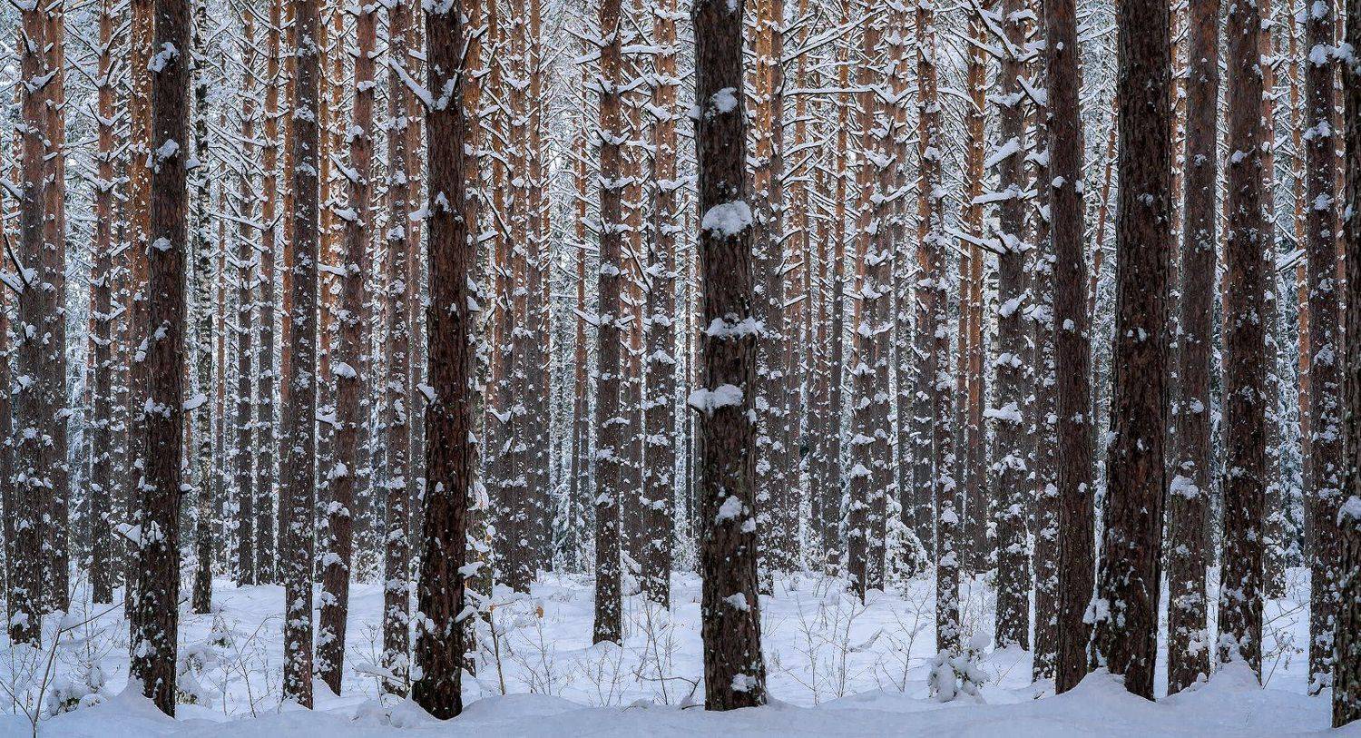 , Руслан Авдевич