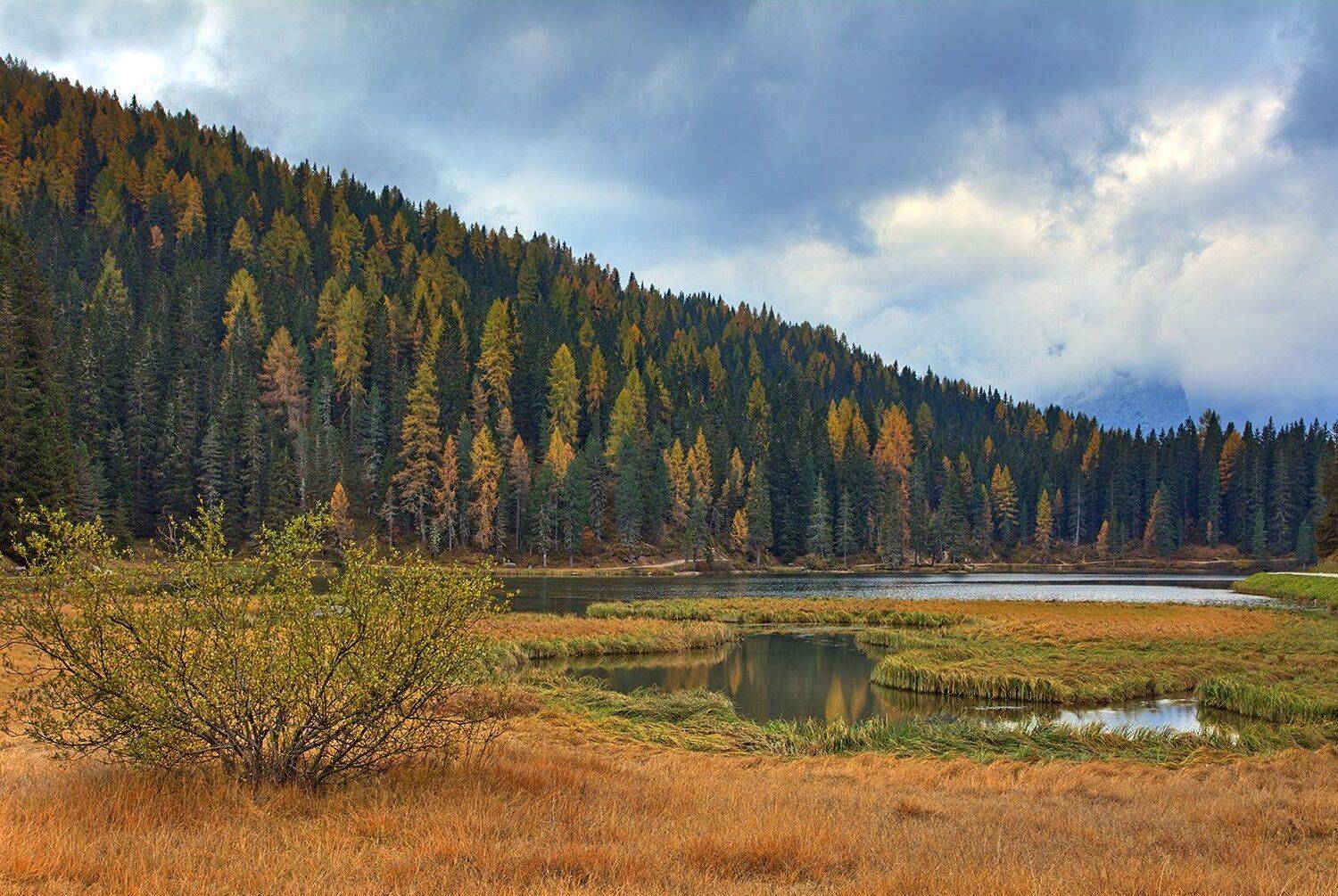 , Игорь Дубровский