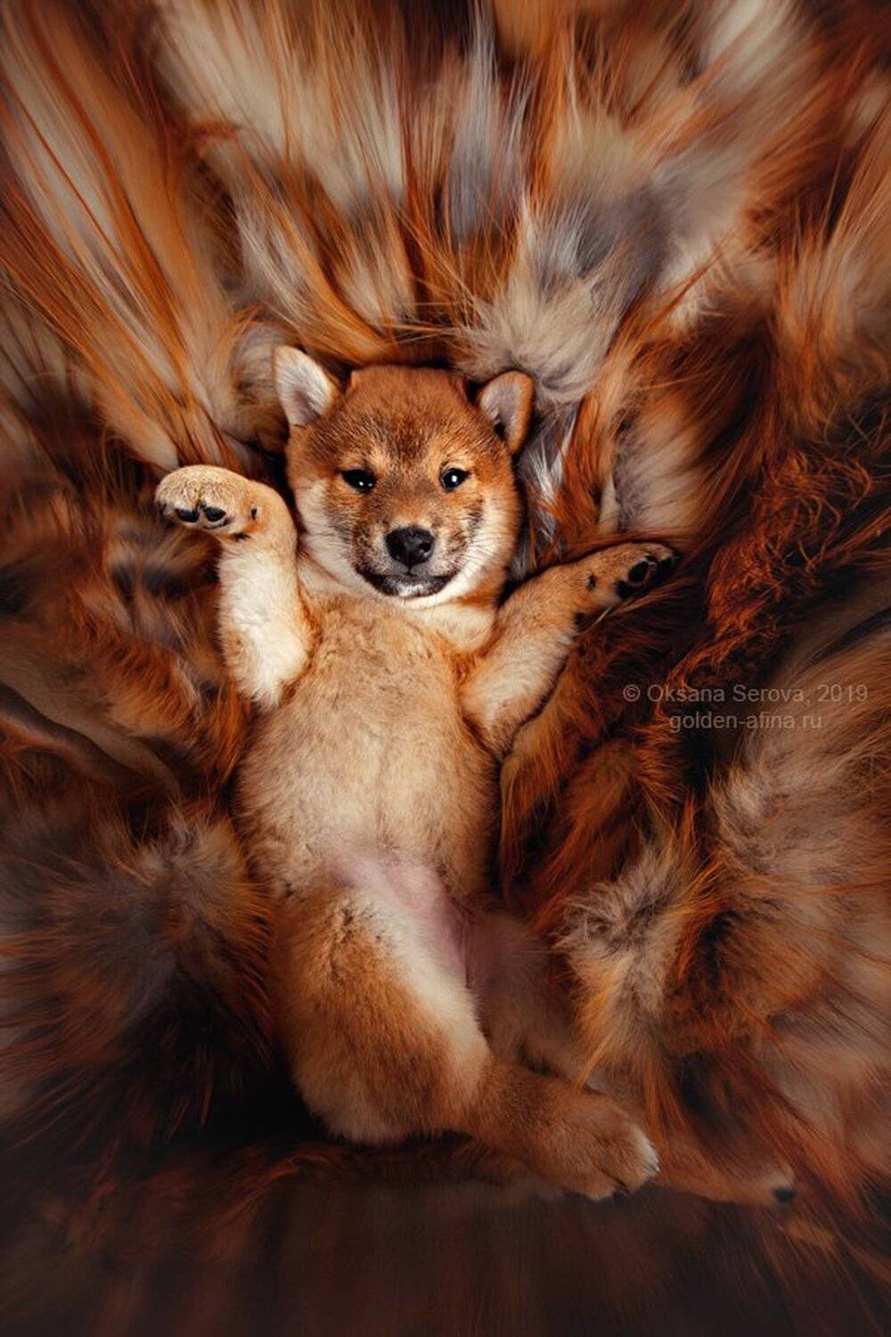 , Оксана Серова