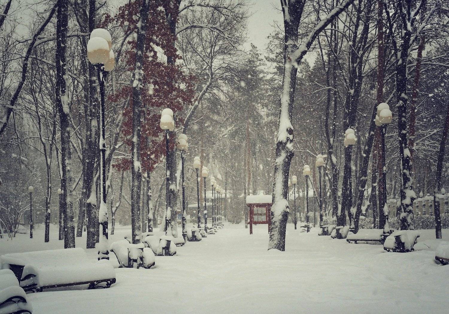 , Mihalych