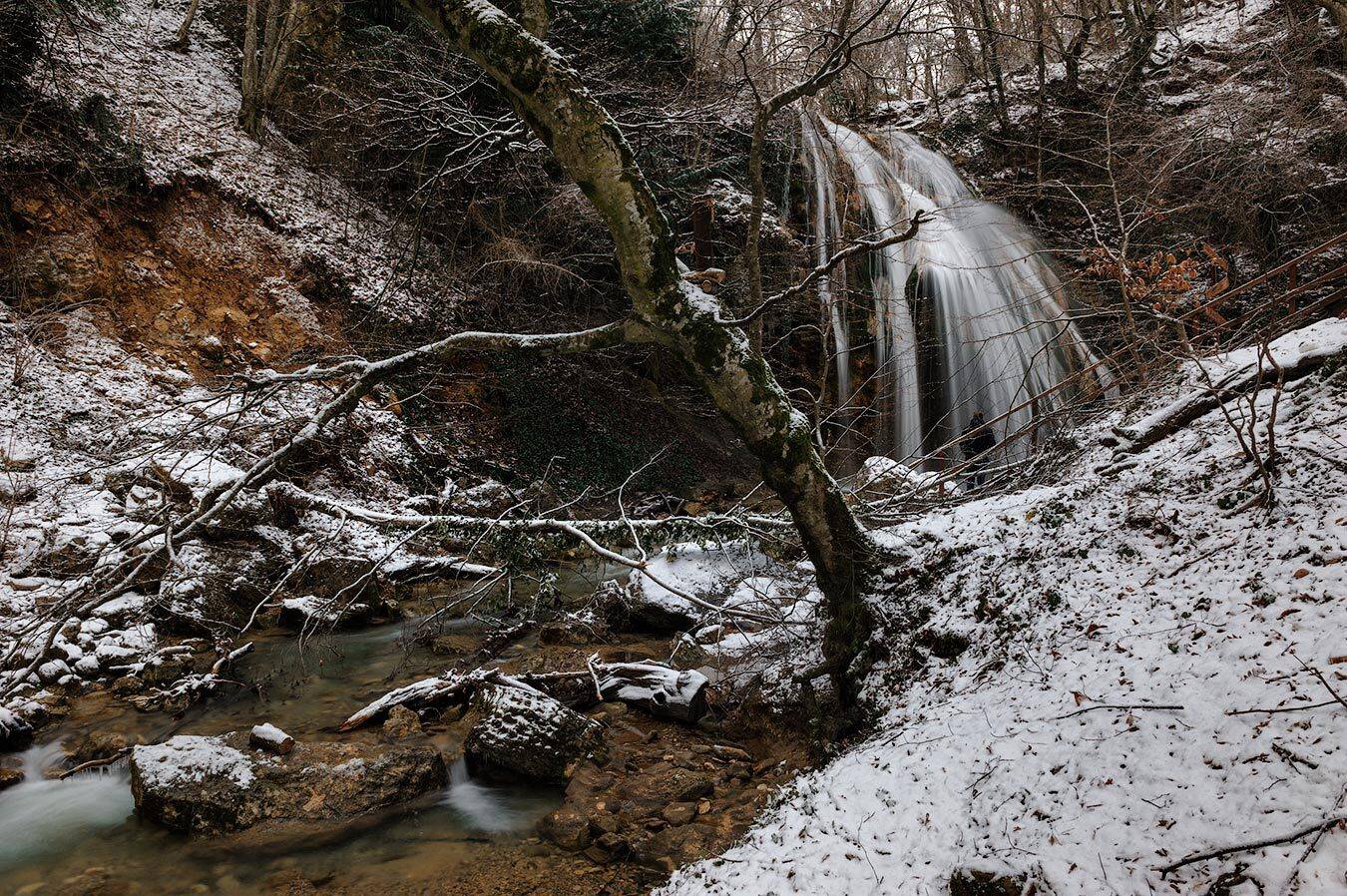 , Олег Логунов