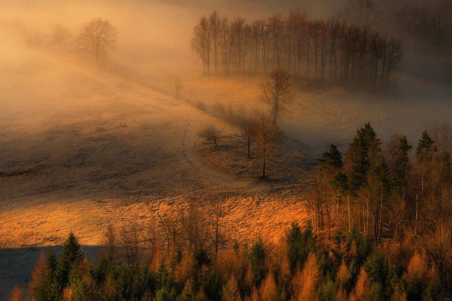 landscape,canon,mist,light,autumn, Iza i Darek Mitręga