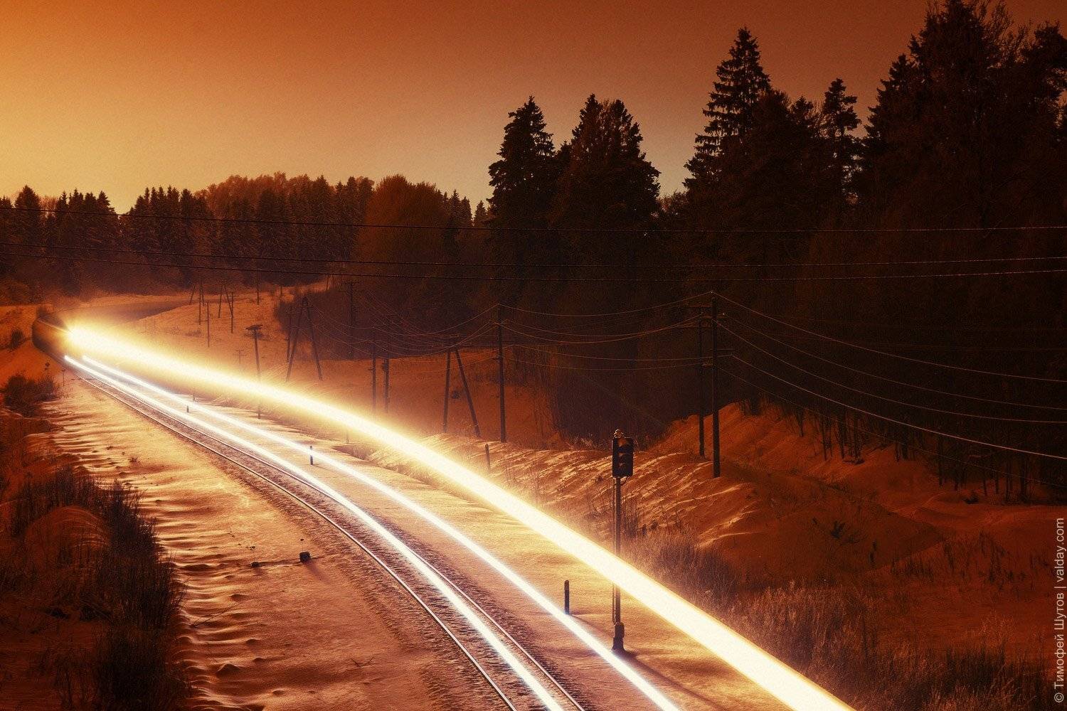 валдай, Тимофей Шутов