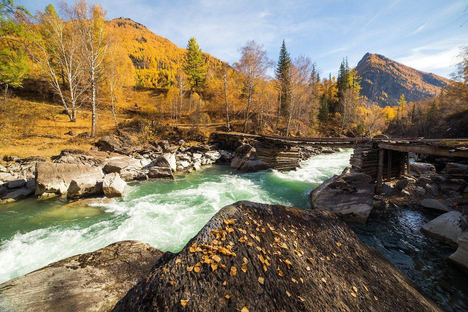 , Валерий Степанюк