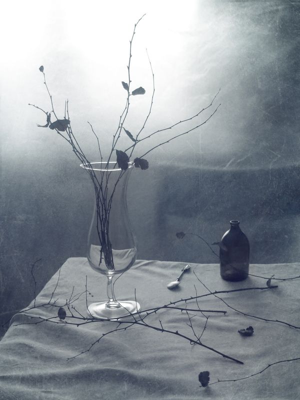 С ветками фото превью