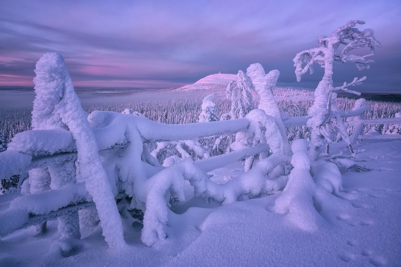 Где-то в Лапландии... фото превью