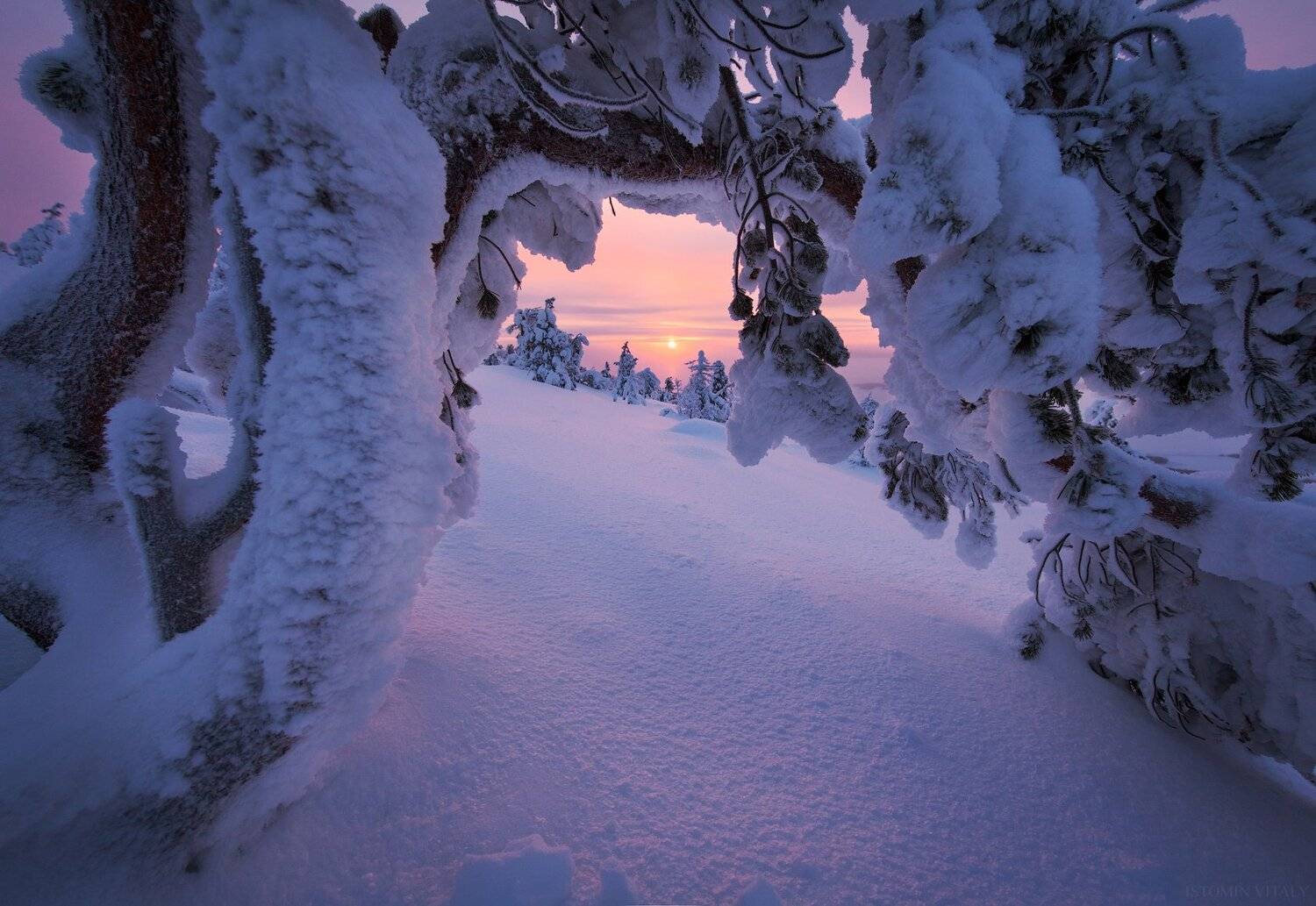 пейзаж,зима,снег,россия,солнце,рассвет,закат,кольский, Виталий Истомин