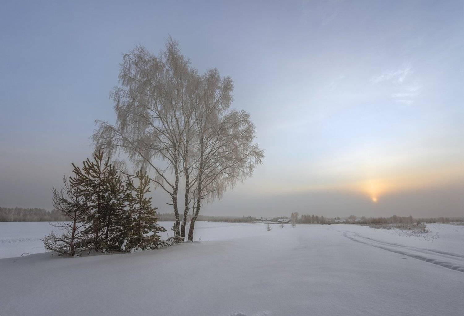 , Николай Андреев