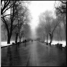Winter alley
