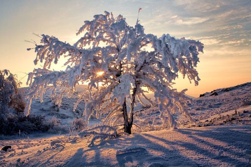 В вечернем свете.