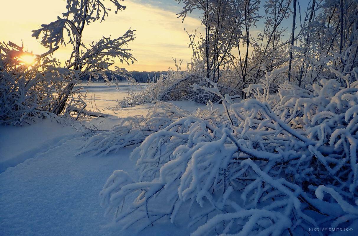 пейзаж, николай дмитрук