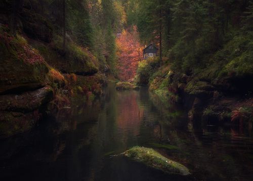 Затерянный в глубинах осени.