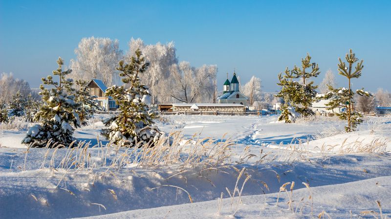 церковь, храм, сосны, мороз, иней, зима, деревня  фото превью