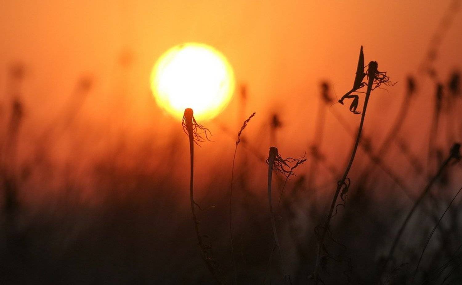 , Вячеслав Мищенко